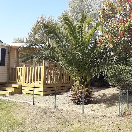 Mobil Home Neuf 2 Chambres 6 Personnes Saint Aygulf Plage Fréjus Dış mekan fotoğraf